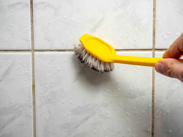 Best Professional Mold Removal  in Washgton, IN