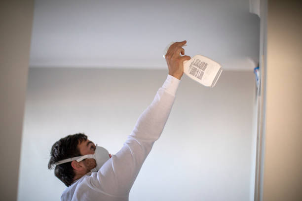 Best Toxic Mold Removal  in Washgton, IN