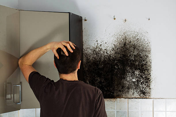 Best Mold Testing  in Washgton, IN